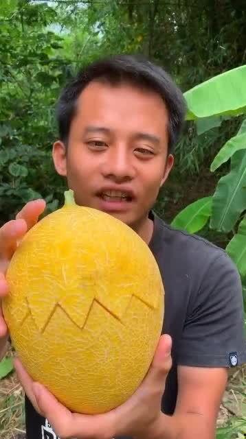 大脑袋吃瓜,揭秘瓜界奇才的趣味生活