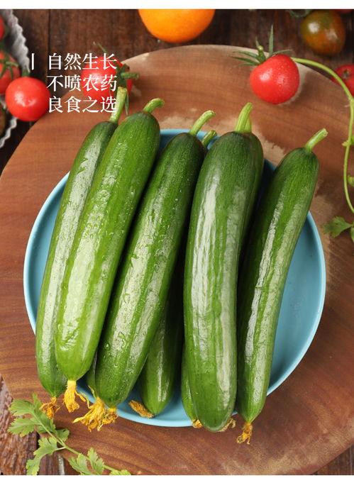 梦见吃新鲜小瓜,揭秘吃新鲜小瓜的神秘寓意