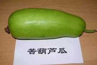 带那吃瓜,揭秘娱乐圈背后的那些事儿