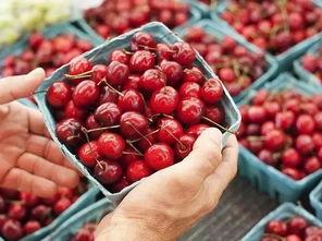 樱桃群众吃瓜视频,揭秘幕后真相，带你走进神秘事件现场