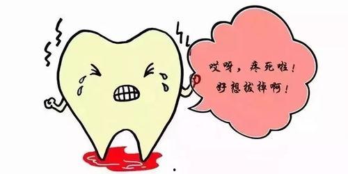 吃瓜导致牙疼视频,揭秘口腔健康小常识