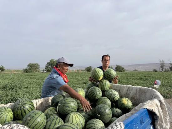土山吃瓜,探寻乡村田园的甜蜜记忆