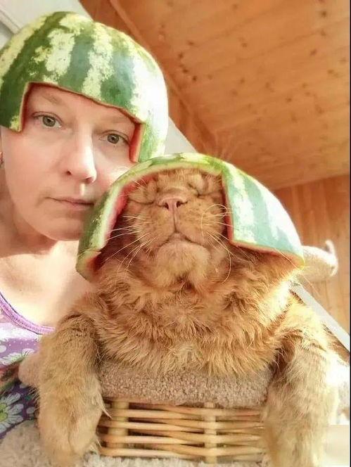 吃瓜猫摄影老师,吃瓜猫摄影老师带你领略光影之美