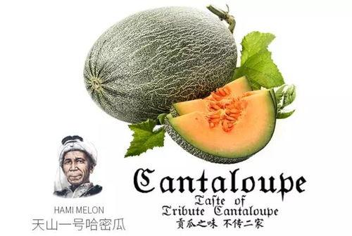 吃瓜82号,网络红人的崛起与争议