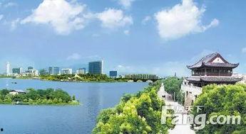 衢州公馆吃瓜,揭秘网红美食背后的吃瓜故事